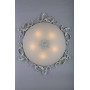 Потолочный светильник Ragusa OML-76517-05