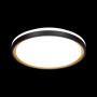 Настенно-потолочный светильник Klapa 3045/DL
