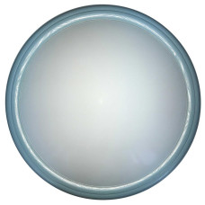 Настенно-потолочный светильник Portia TL1128-1Y