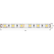 Светодиодная лента  SWG560-24-14.4-W-65